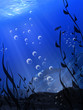 underwater
