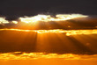 Photo: sun rays sun rays