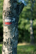 signalisation d'un sentier signalisation d'un sentier