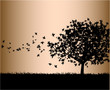 Illustration: falling leafs falling leafs