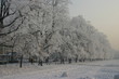 winter in cracow
