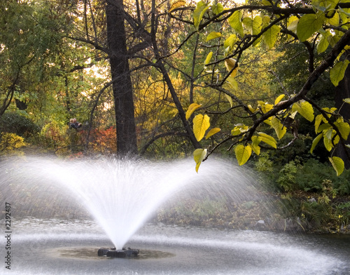 fountain fountain