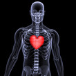 skeleton x-ray valentine heart 2