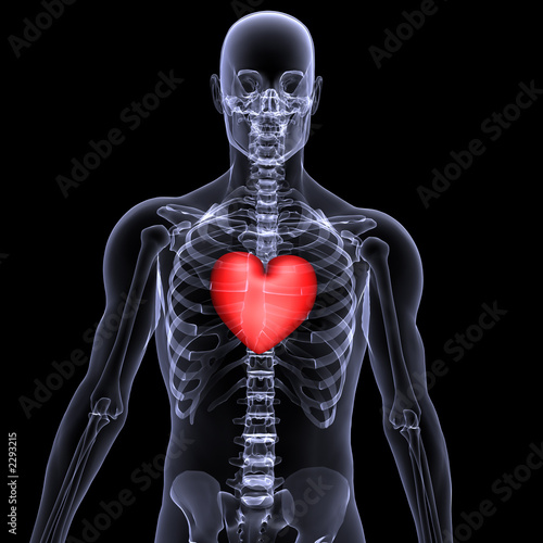 skeleton x-ray valentine heart 2