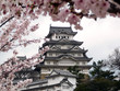 japanese castle during cherry blossom japanese castle during cherry blossom