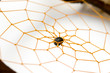 dreamcatcher isolated on white background