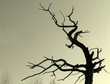 loneliness