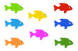 fish with many colours