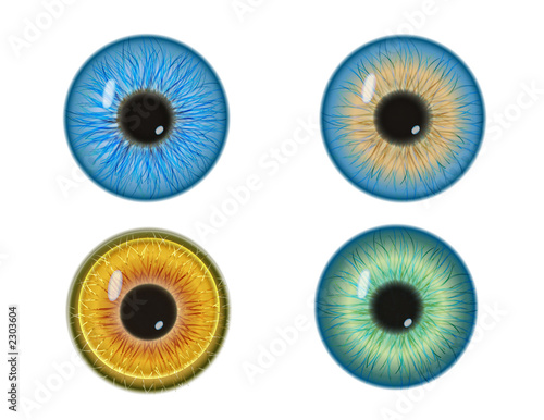 the eyes have it