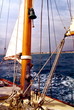 voile voile