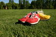 red and yellow running shoes on a sports field red and yellow running shoes on a sports field