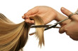 coiffure ciseaux coiffure ciseaux