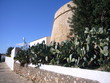 baluarte con chumberas defensivas en ibiza baluarte con chumberas defensivas en ibiza