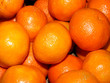orange orange