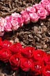 roses pattern