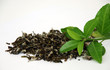 green tea green tea
