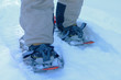 raquettes de neige