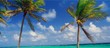 côcotier en guadeloupe côcotier en guadeloupe