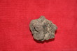petite truffe petite truffe