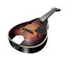 mandolin