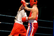 dynamic boxing fight dynamic boxing fight