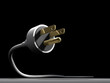 electric plug