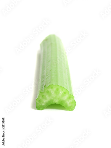 Photo: celery celery