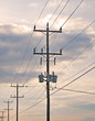 hydro lines