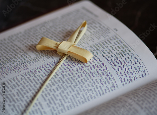 Photo: palm frawn on bible palm frawn on bible