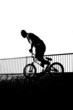 bmx vector drawing of a biker dropping in