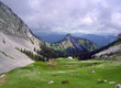 mountainside of pilatus