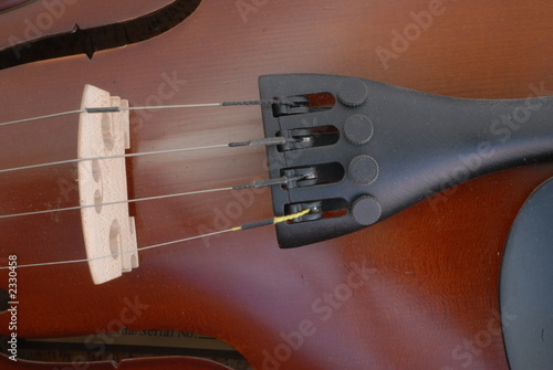 violino