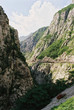 montenegro 1