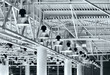 lighting fixture