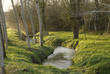 et au milieu coule une rivière et au milieu coule une rivière