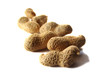 nuts, peanuts nuts, peanuts