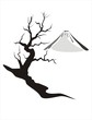 mount fuji im winter