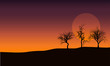 sunset