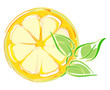 lemon slice with leaves. artistic illustration lemon slice with leaves. artistic illustration