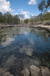 dzibilchaltun cenote