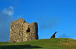 ruin and cannon
