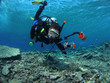 Photo: diving girl diving girl