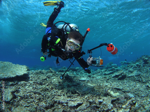 diving girl
