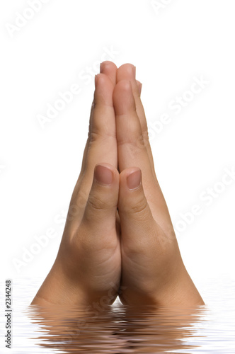 Photo: praying hands praying hands