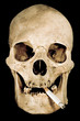 smoking skull