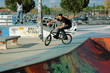 bmx