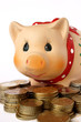 piggy bank piggy bank