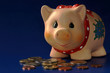 piggy bank in blue (3) piggy bank in blue (3)