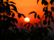 red sunset