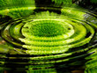 Illustration: wasserflora - blumen - wasserspiegelung wasserflora - blumen - wasserspiegelung